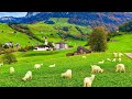 Landleben In Der Schweiz Entspannender Spaziergang Durch Die Schönsten Dörfer Der Schweiz