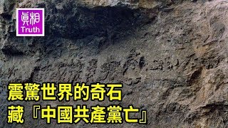 [黑特] 你今天中共同路人了嗎?