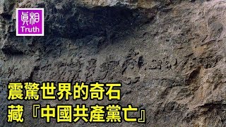 [黑特] 你今天中共同路人了嗎?