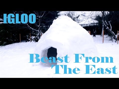 Beast From The East Igloo - Ireland March 2018