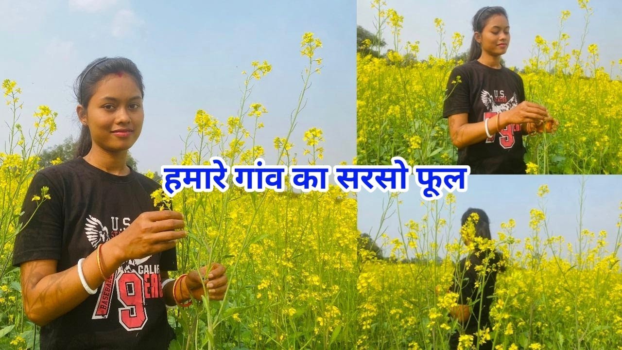 हमारे गांव का सरसो फूल | Vlog | Manisha sahu