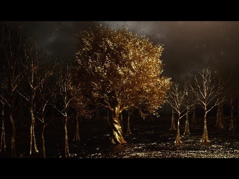 Gold - Official Video - Willow Stephens