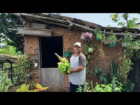 ELE VIVE ISOLADO DA AGITAÇÃO DA CIDADE MORANDO NA SIMPLICIDADE
