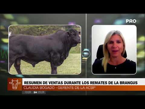 Resumen de ventas durante los remates de la Brangus