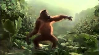 Monkey dance-Funny Video