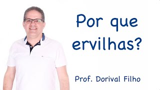 Por que Ervilhas