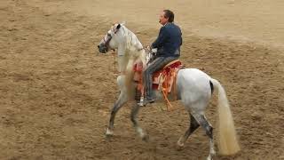 Antonio Aguilar Jr.- Cuatro meses