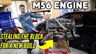 Why do I have a BMW M56 engine in my garage? Pittsburgh engine stand - hoist review + first time use