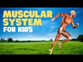 Muscular System For Kids Muscles For Kids A Fun Intro To The Muscular System