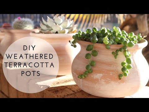 download lagu mp3 mp4 Aged Terracotta Pots, download lagu Aged Terracotta Pots gratis, unduh video klip Aged Terracotta Pots
