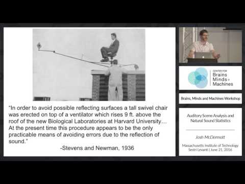 Auditory Scene Analysis and Natural Sound Statistics