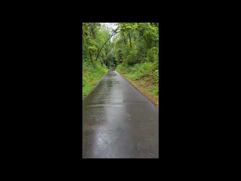 Swamp Rabbit Trail, second ride