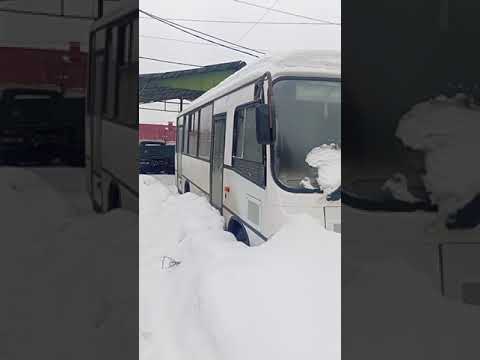 Пассажирский автобус ПАЗ 320402 от Алексея