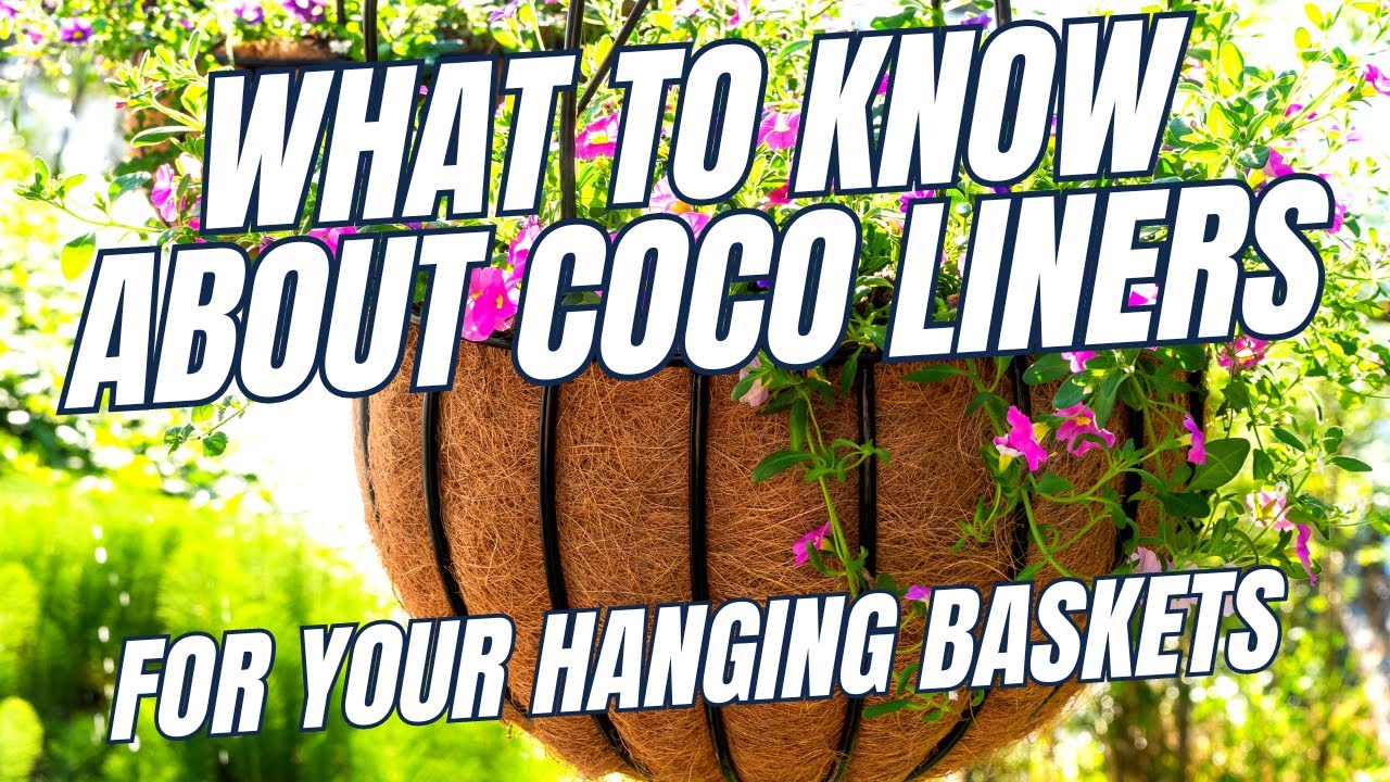 Cocoa Liners for Hanging Baskets: Pros, Cons & Care Tips