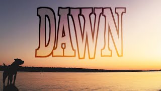 Fruition - DAWN [Official Music Video]