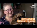 55-plussers gekoppeld aan oppashondje tegen eenzaamheid: 'Wel de lusten, maar niet de lasten'