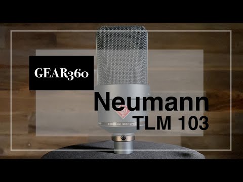 Neumann TLM 103 Microphone (Black) image 5