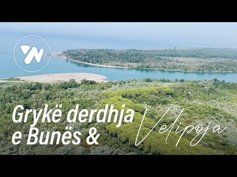 Gryke derdhja e Bunes dhe plazhi i Velipojes nga Ajri - BUNA river & Velipoja Beach from the Air