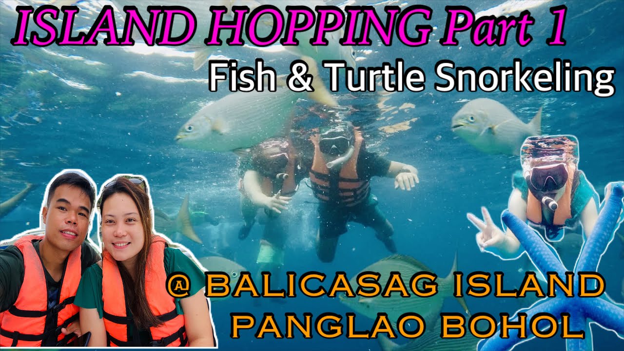 Travelers experience Dolphin Watching on a boat tour.