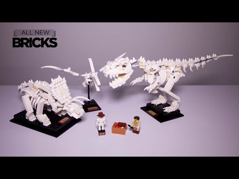 Vidéo LEGO Ideas 21320 : Les fossiles de dinosaures