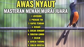 Download lagu 100% AMPUH MEMANCING BONGKAR ISIAN DENGAN SUARA MURAI BATU FULL TEMBAKAN INI mp3