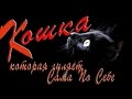 Песня под гитару "Книга джунглей или Кошка, которая гуляет СПС" Песня о женщине или ...