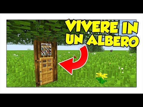 Come vivere dentro un albero!