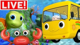Wheels On The Bus Underwater +More Kids Songs | Little Baby Bum | LIVE STREAM