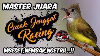 Download lagu Dahsyat materinya !! MASTERAN CUCAK JENGGOT RACING❗ mp3