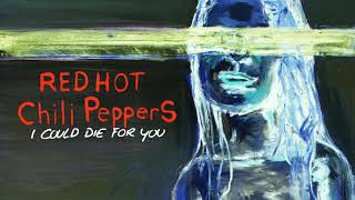 Red Hot Chili Peppers - I Could Die For You (Instrumental)
