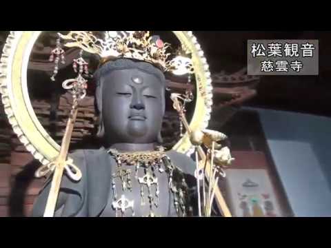 慈雲寺・松葉観音　木造十一面観音菩薩立像