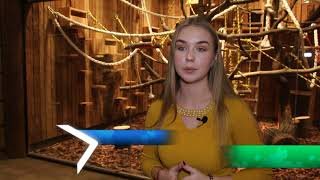 Адам, Лунтик і Масяня отримали апартаменти в центрі Харкова
