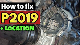 dtc p2019 quickly Fix
