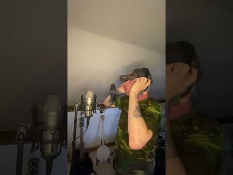 Cheshire Cat & Kingston Express "SHAPE OF YOU" dub