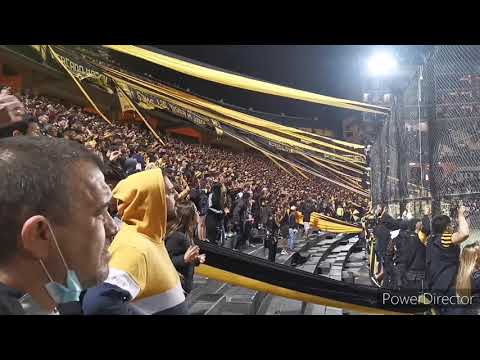 "Hinchada De Peñarol vs Cerro Largo / Clausura 2021 / Campeon Del Siglo / Los Dueños De La Fiesta" Barra: Barra Amsterdam • Club: Peñarol