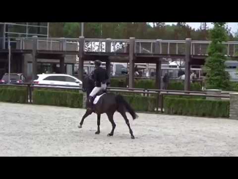 CSI Valkenswaard 6YH