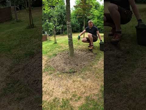 Satisfying Treecircle Cleanup