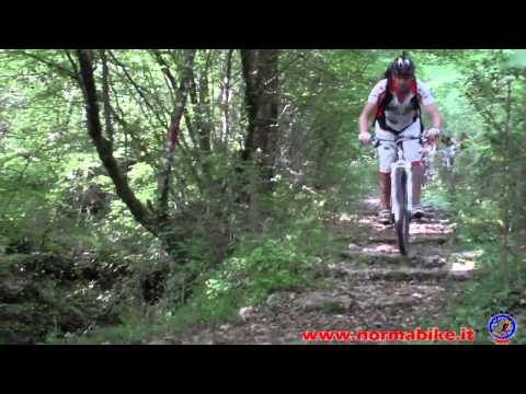 Bosco di San Martino