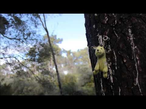 Vicente Palma - Para Rosalía [Adriano Correia de Oliveira]