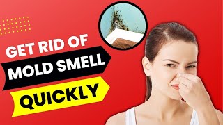 How To Get Rid Of Mold Smell Quickly (Easy Natural Methods)