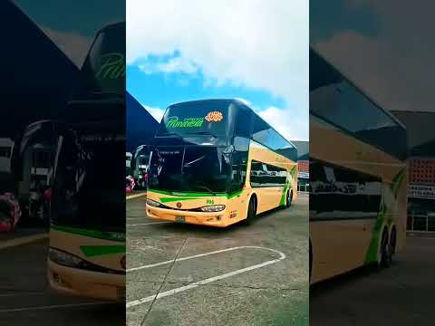 Expresos Primavera Está En Terminal Terrestre De San Cristoval Edo Táchira
