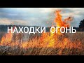 Коп на сгоревшем урочище Коп на сгоревшем урочище