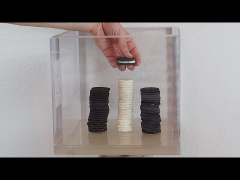 Perfect Oreo Separation Using a Vacuum Chamber Video