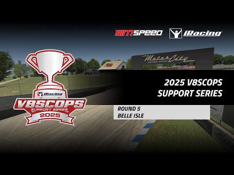 owl-carousel-video-image