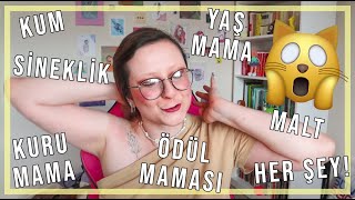 DEV KEDİ DOSYASI: 100+ Mama İncelemesi, Kum Önerileri 🐱