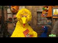 Celebrate Big Bird S Birthday