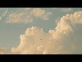 2 Hours Of Calm Film Photography In Japan