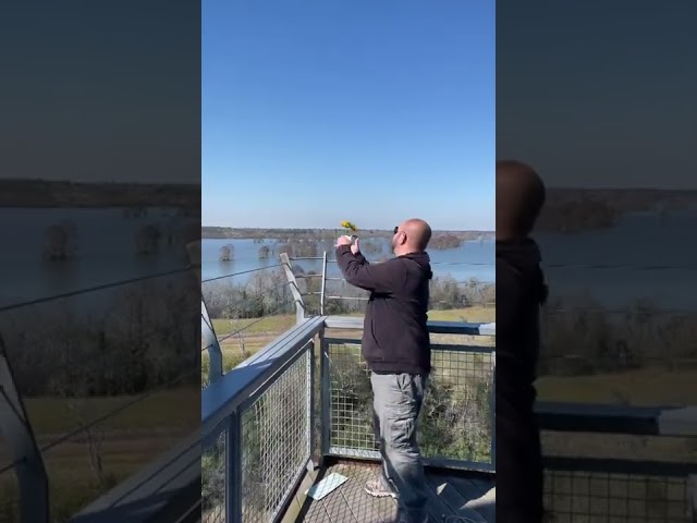 Vídeo relacionado con Badafaci Antena HF Radio Ham End Fed Balun Mini Balun Portátil para Operaciones Al Aire Libre 8 Bandas 100W Frecuencia 1 a 30MHZ