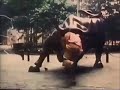 Sesame Street Pizza Delivery