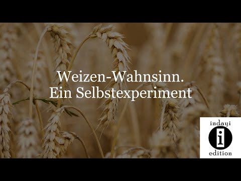 Weizen Selbstexperiment: Was macht Weizen mit deinem Körper?
